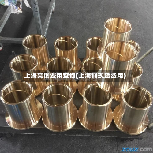 上海亮铜费用查询(上海铜现货费用)