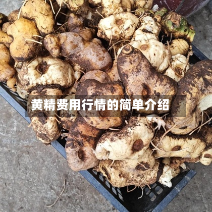 黄精费用行情的简单介绍