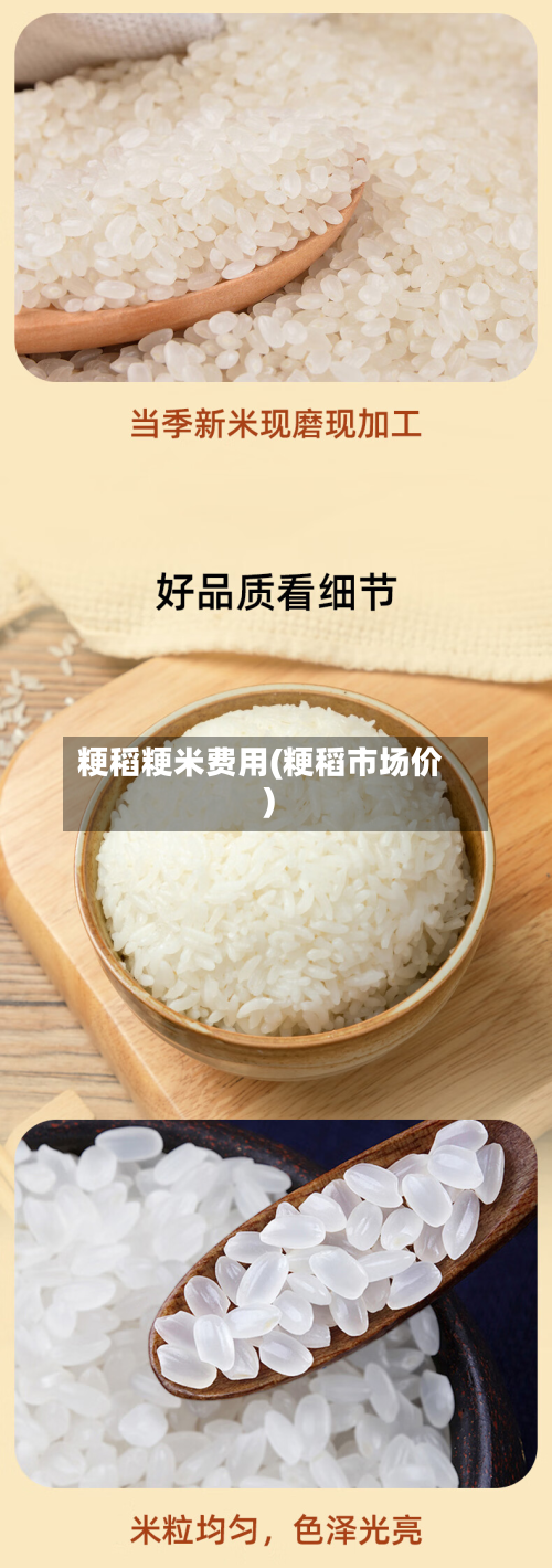 粳稻粳米费用(粳稻市场价)