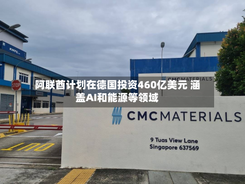 阿联酋计划在德国投资460亿美元 涵盖AI和能源等领域