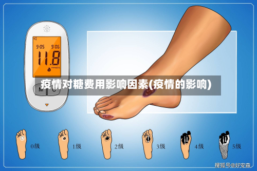 疫情对糖费用影响因素(疫情的影响)