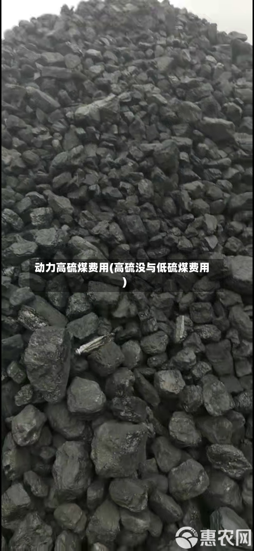 动力高硫煤费用(高硫没与低硫煤费用)