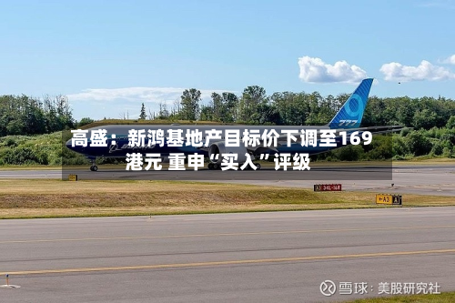 高盛：新鸿基地产目标价下调至169港元 重申“买入	”评级-第1张图片