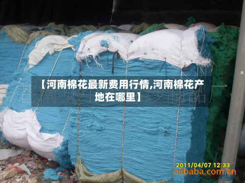 【河南棉花最新费用行情,河南棉花产地在哪里】