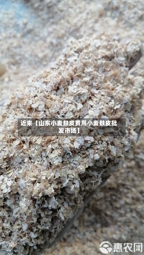 近来【山东小麦麸皮费用小麦麸皮批发市场】
