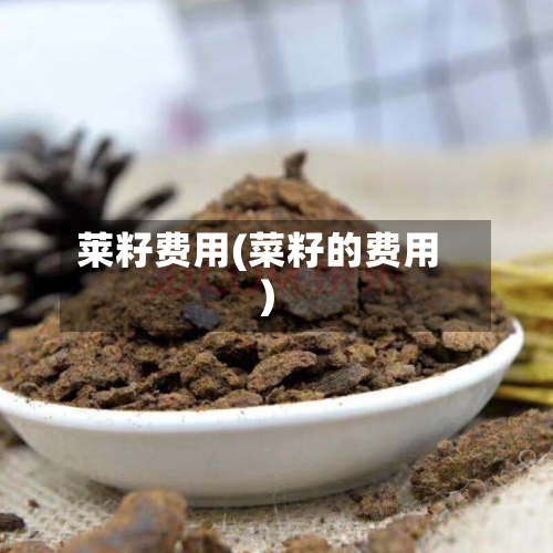莱籽费用(菜籽的费用)