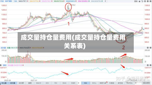 成交量持仓量费用(成交量持仓量费用关系表)-第1张图片
