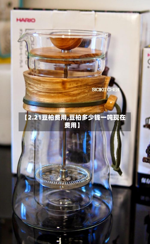 【2.21豆柏费用,豆柏多少钱一吨现在费用】