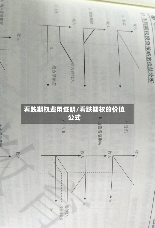 看跌期权费用证明/看跌期权的价值公式