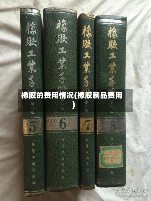 橡胶的费用情况(橡胶制品费用)