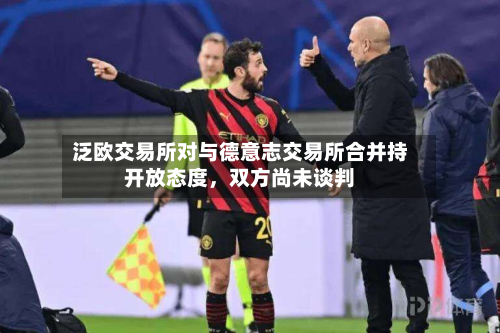 泛欧交易所对与德意志交易所合并持开放态度，双方尚未谈判