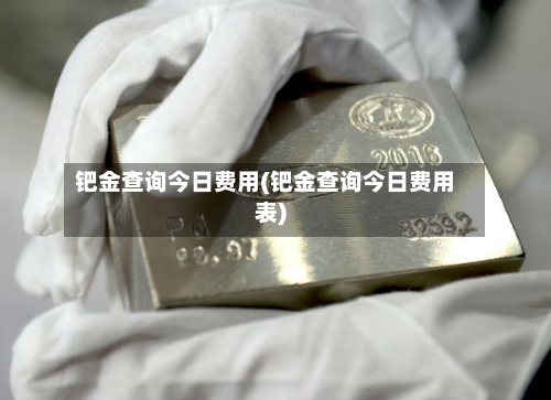 钯金查询今日费用(钯金查询今日费用表)