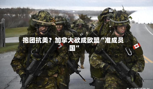 抱团抗美？加拿大欲成欧盟“准成员国”