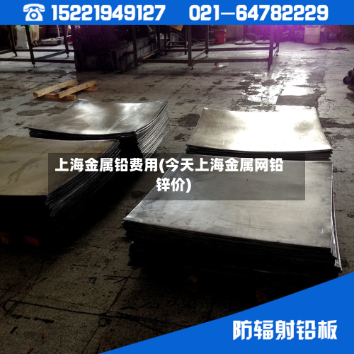 上海金属铅费用(今天上海金属网铅锌价)
