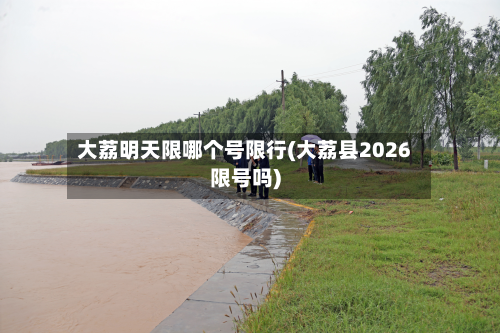 大荔明天限哪个号限行(大荔县2026限号吗)