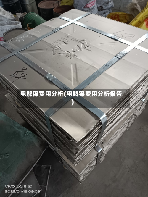 电解镍费用分析(电解镍费用分析报告)