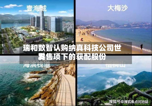 瑞和数智认购纳真科技公司世界
发售项下的获配股份-第1张图片