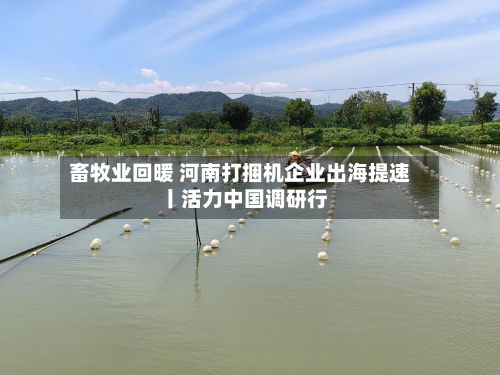 畜牧业回暖 河南打捆机企业出海提速丨活力中国调研行