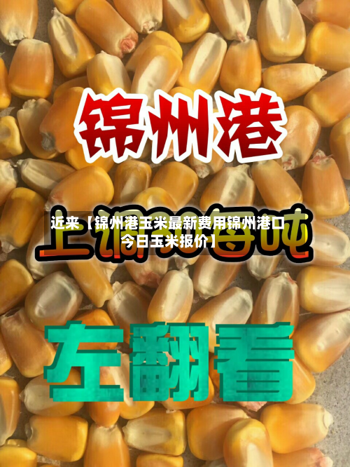近来【锦州港玉米最新费用锦州港口今日玉米报价】-第1张图片