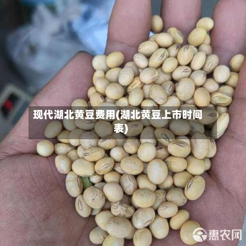 现代湖北黄豆费用(湖北黄豆上市时间表)