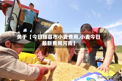 关于【今日辉县市小麦费用,小麦今日最新费用河南】
