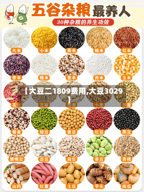 【大豆二1809费用,大豆3029】
