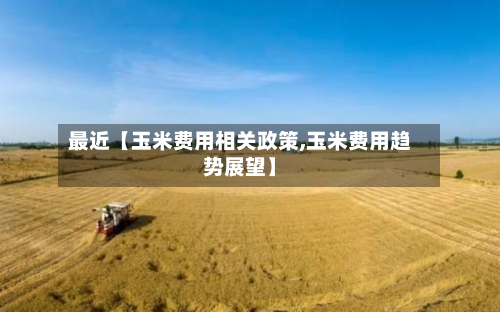 最近【玉米费用相关政策,玉米费用趋势展望】