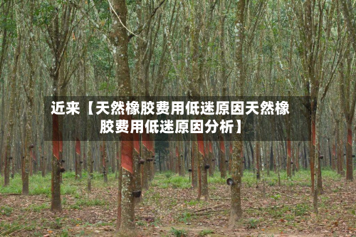 近来【天然橡胶费用低迷原因天然橡胶费用低迷原因分析】