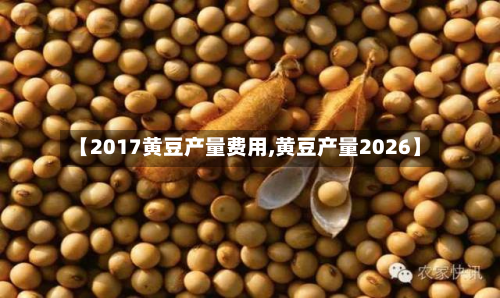 【2017黄豆产量费用,黄豆产量2026】