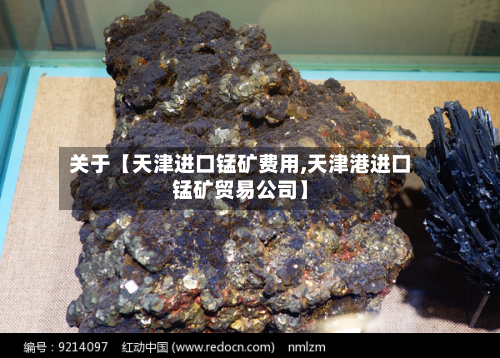 关于【天津进口锰矿费用,天津港进口锰矿贸易公司】