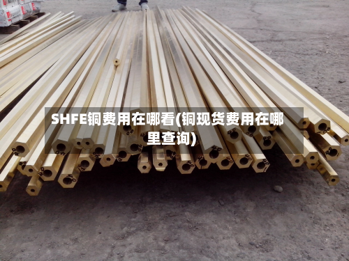 SHFE铜费用在哪看(铜现货费用在哪里查询)