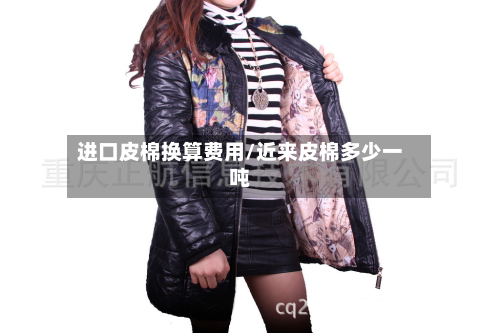 进口皮棉换算费用/近来皮棉多少一吨