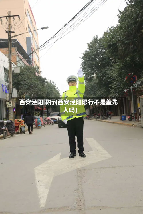 西安泾阳限行(西安泾阳限行不是羞先人吗)
