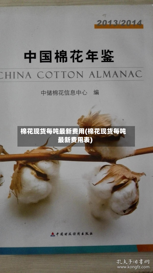 棉花现货每吨最新费用(棉花现货每吨最新费用表)