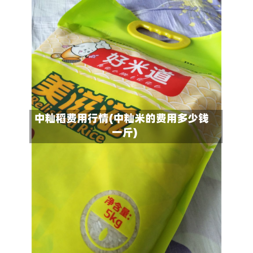 中籼稻费用行情(中籼米的费用多少钱一斤)-第1张图片
