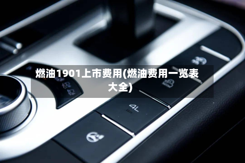 燃油1901上市费用(燃油费用一览表大全)