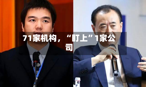 71家机构，“盯上”1家公司