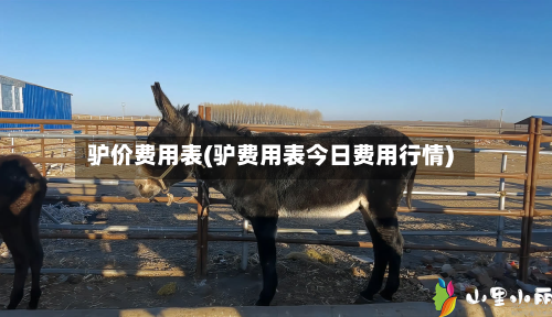 驴价费用表(驴费用表今日费用行情)