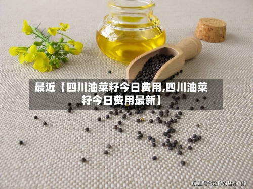 最近【四川油菜籽今日费用,四川油菜籽今日费用最新】