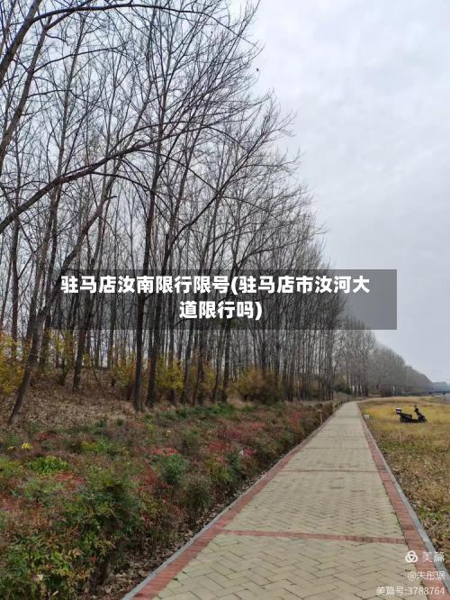 驻马店汝南限行限号(驻马店市汝河大道限行吗)