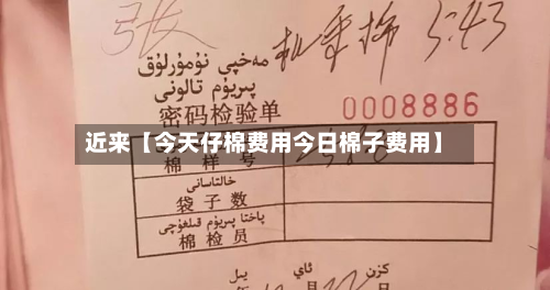 近来【今天仔棉费用今日棉子费用】