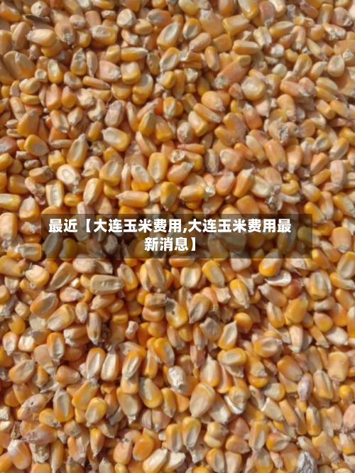 最近【大连玉米费用,大连玉米费用最新消息】