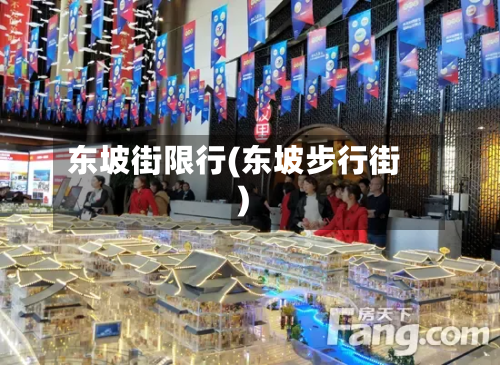 东坡街限行(东坡步行街)