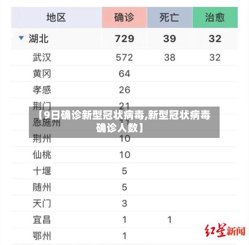【9日确诊新型冠状病毒,新型冠状病毒确诊人数】
