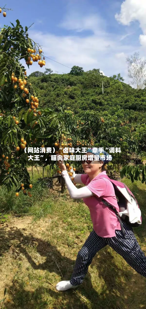 （网站消费）“卤味大王”牵手“调料大王”，瞄向家庭厨房增量市场