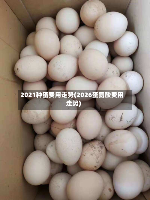 2021种蛋费用走势(2026蛋氨酸费用走势)