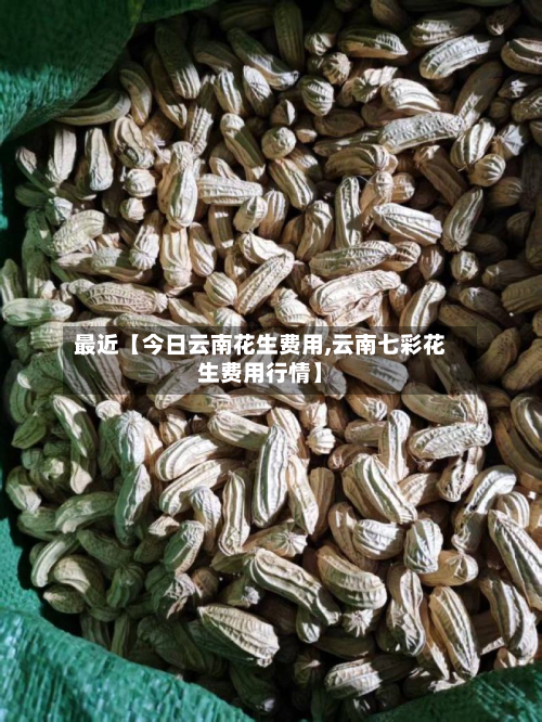 最近【今日云南花生费用,云南七彩花生费用行情】