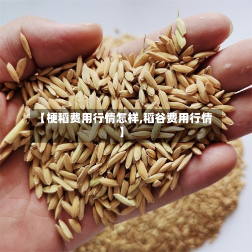 【梗稻费用行情怎样,稻谷费用行情】