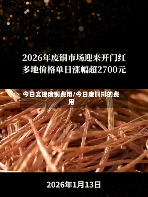 今日实现废铜费用/今日废铜排的费用