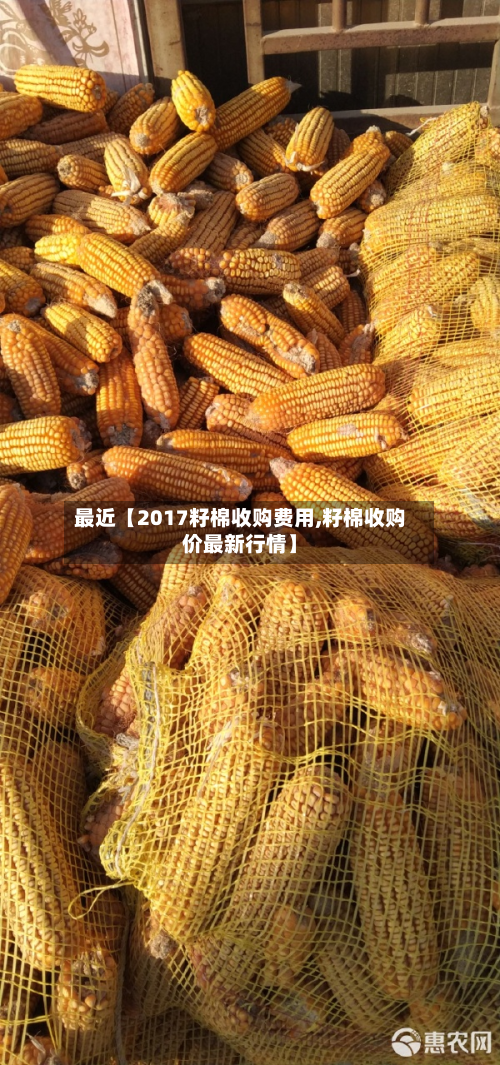 最近【2017籽棉收购费用,籽棉收购价最新行情】